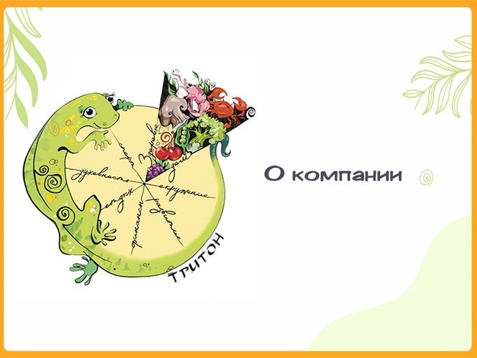 О компании