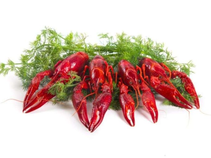 🦞РАКИ🦞 ХИТ ЭТОГО СЕЗОНА! 🔥
