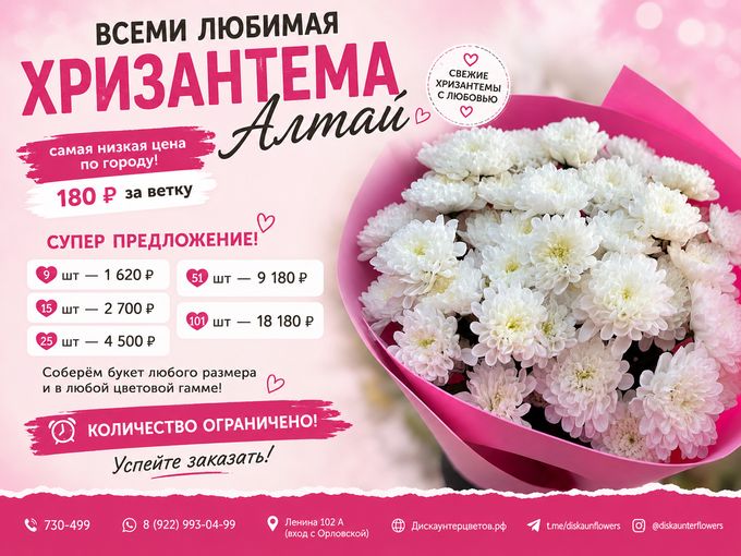 Хризантемы Алтай от 180 ₽ 🌸