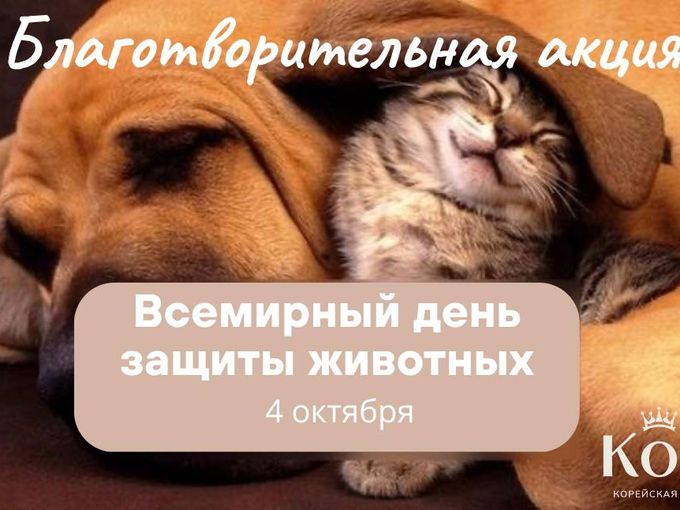 БЛАГОТВОРИТЕЛЬНАЯ АКЦИЯ ЖИВОТНЫМ
