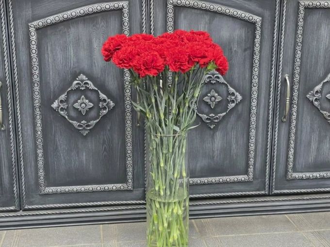 РАСПРОДАЖА ГВОЗДИКИ ПО 70 ₽