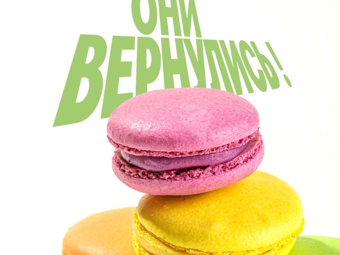 Они вернулись!