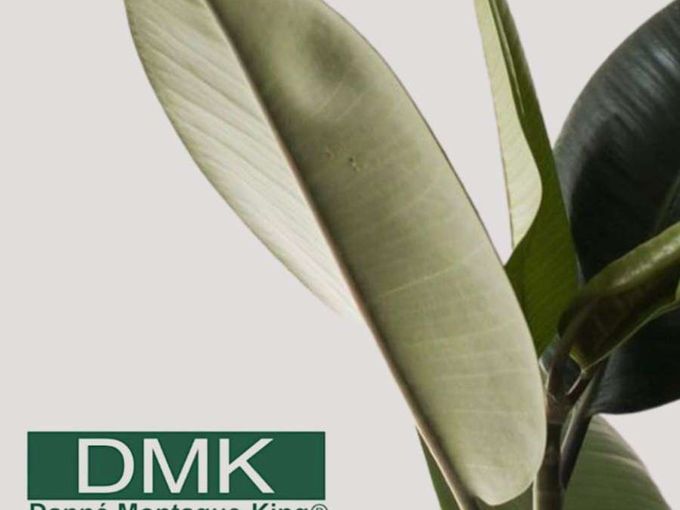 💚 Mīļie kolēģi!💚