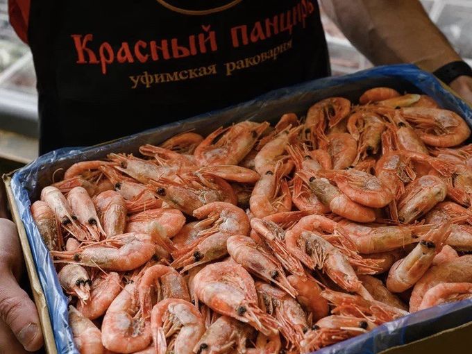 🤫 Тайна раскрыта 🫣
