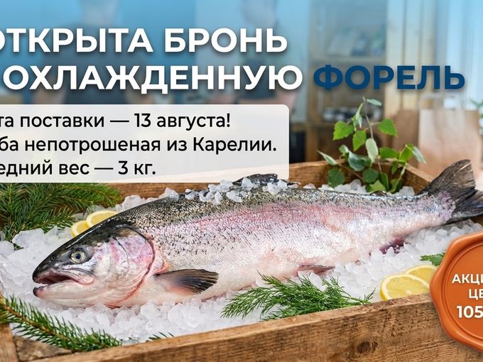 ❗ОТКРЫТА БРОНЬ