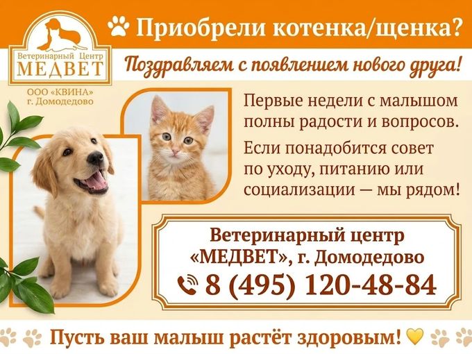 Живой подарок