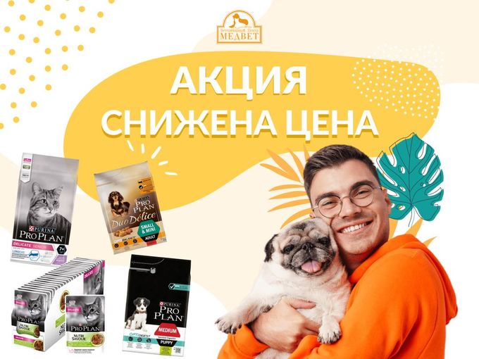 🎉 Специальное предложение в ветаптеке