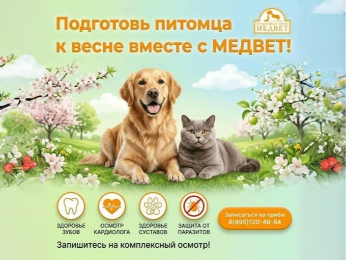 ПОДГОТОВЬ ПИТОМЦА К ВЕСНЕ
