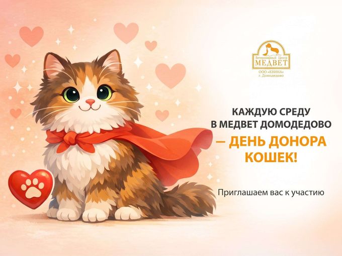 🩵ДАРИМ 3000 БОНУСОВ ЗА ДОНОРСТВО🩵