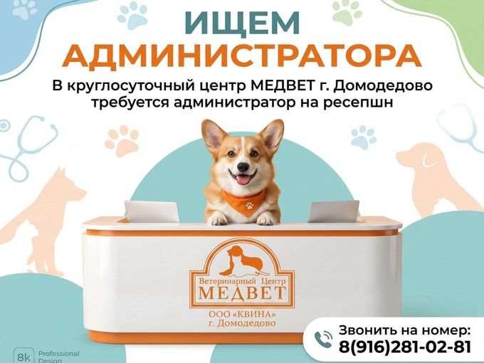 Ищем администратора в МЕДВЕТ Домодедово