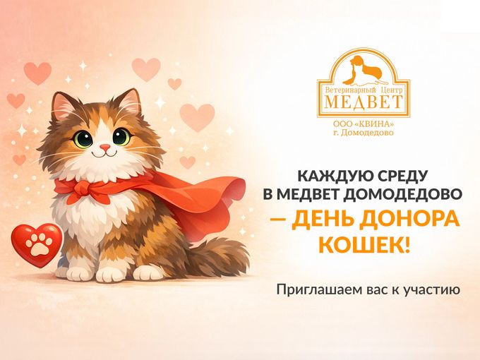 Помогите спасти!