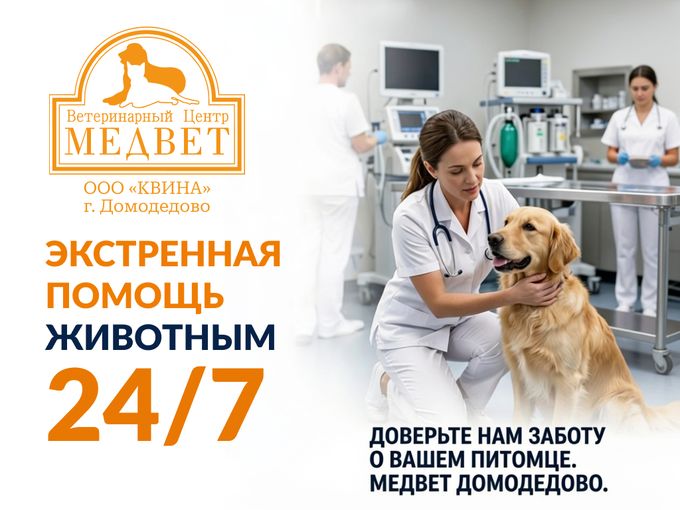 Заворот желудка у собак
