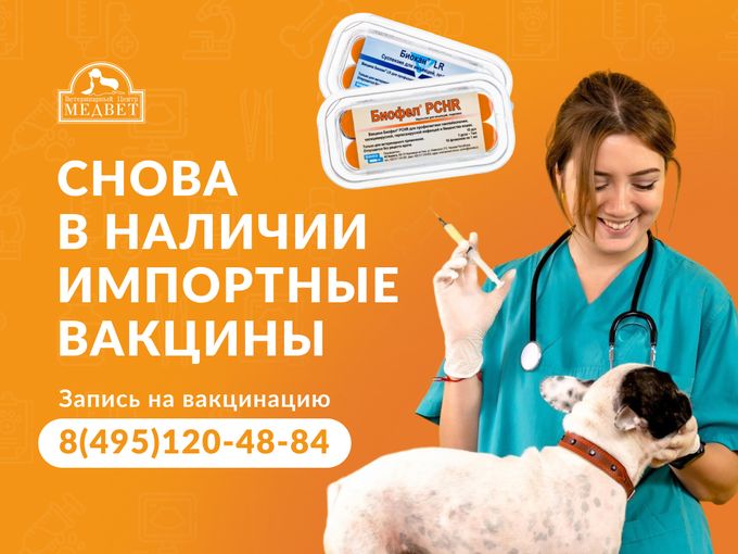 🚨Тут тук тук! Внимание, важная новость!