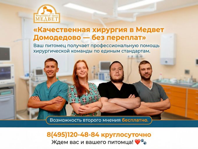 ВТОРОЕ МНЕНИЕ ВЕТЕРИНАРА БЕСПЛАТНО!