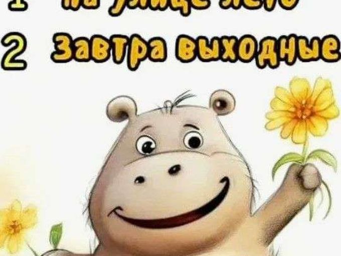 С пятницей!😎