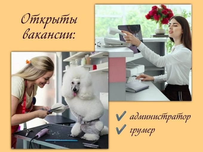 Открыты вакансии