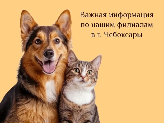 Обратите внимание!