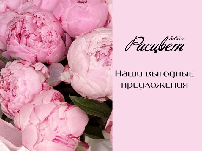 🌷 ЛУЧШИЕ ЦЕНЫ ЭТОЙ НЕДЕЛИ