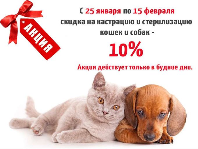 Акция на кастрацию и стерилизацию