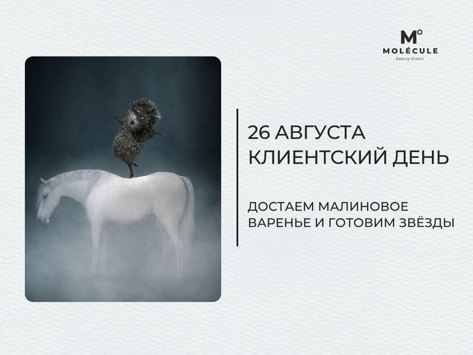 26 августа — Клиентский день в MOLÉCULE