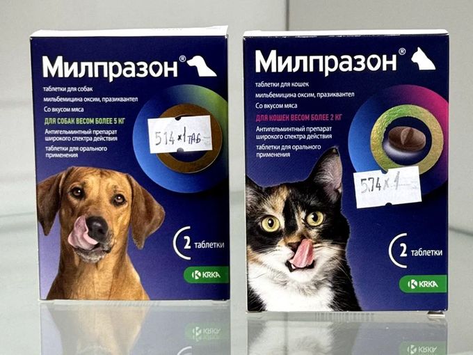 Что делать если глисты?