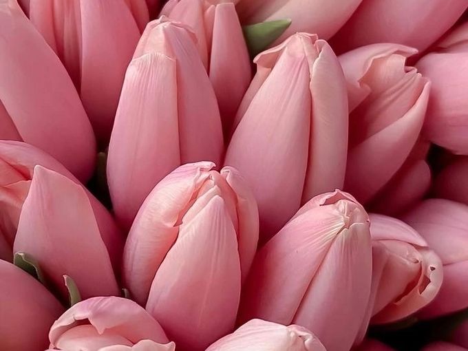 С 8 Марта!🌷