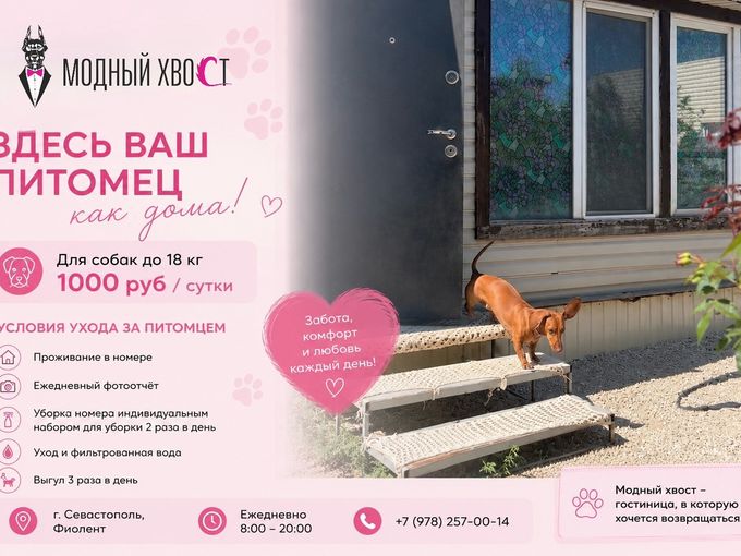 С кем оставить собаку на время отпуска?