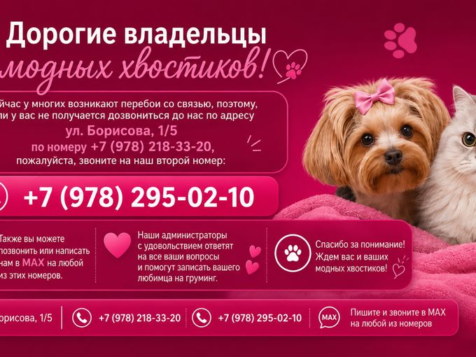 Актуальные номера для записи 🐶🐱