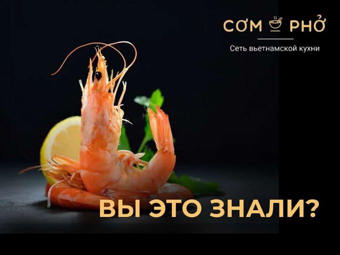 Неожиданный факт о креветках! Ты знал?🦐