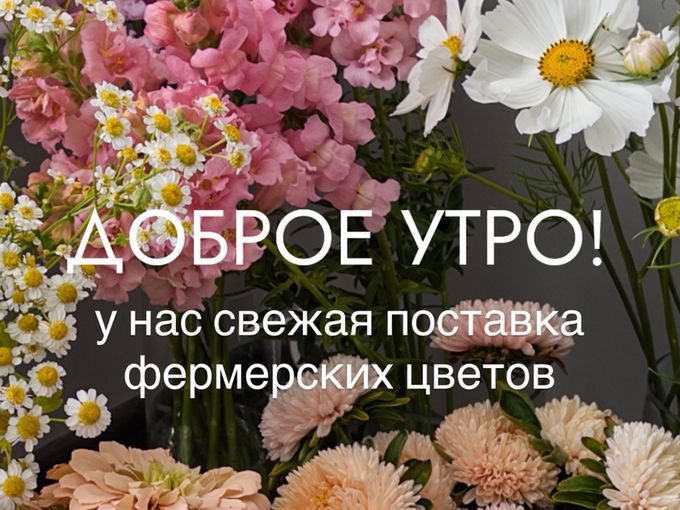 Поступление фермерских цветов🌼