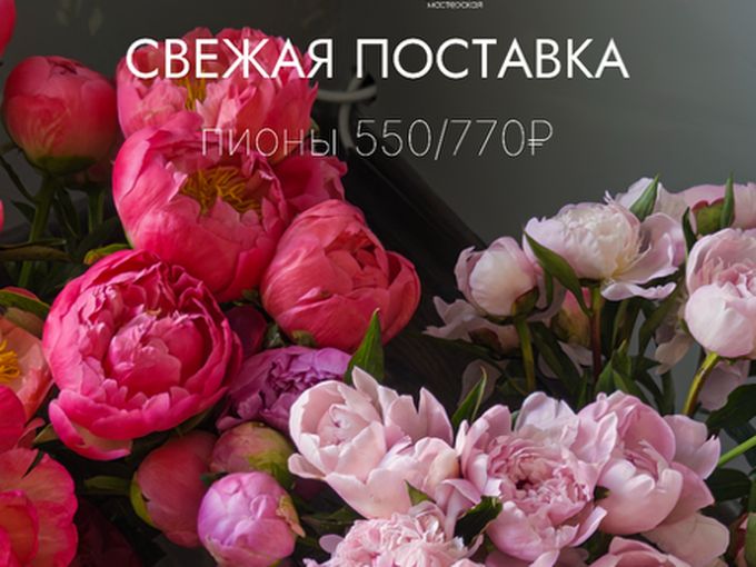 Пионы в наличии!✨💞