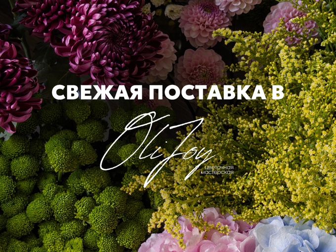 Свежая поставка в OliJoy✨