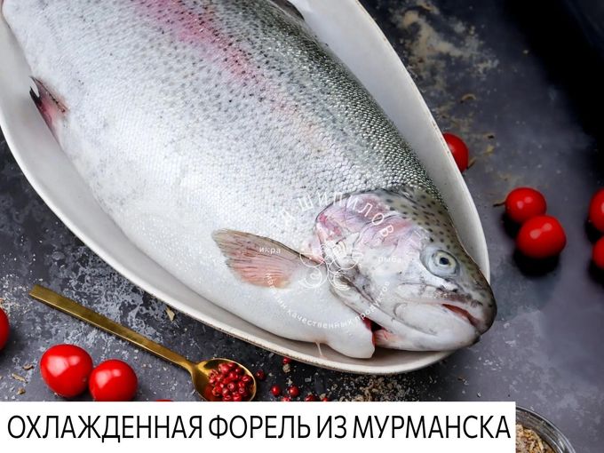 ⚡️ПРЕДЗАКАЗ к  17-18 сентября! ⚡️