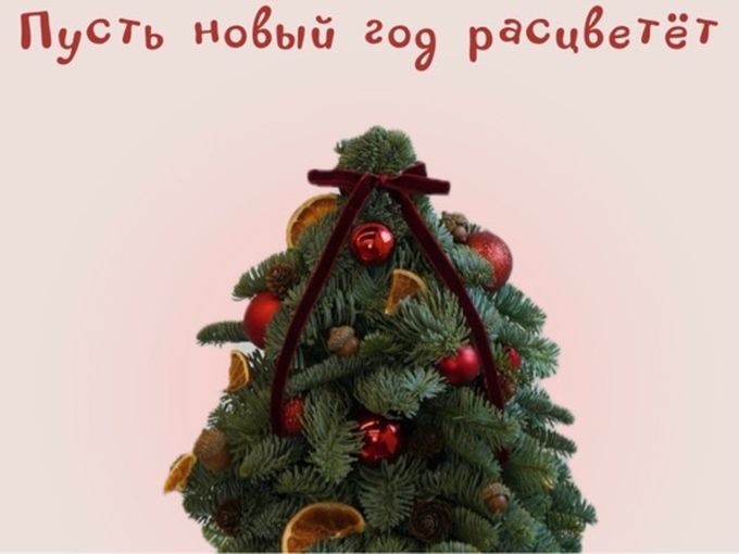 Спасибо за доверие🤗 с наступающим ✨