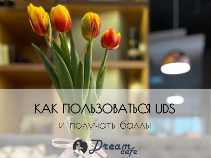 Как пользоваться UDS
