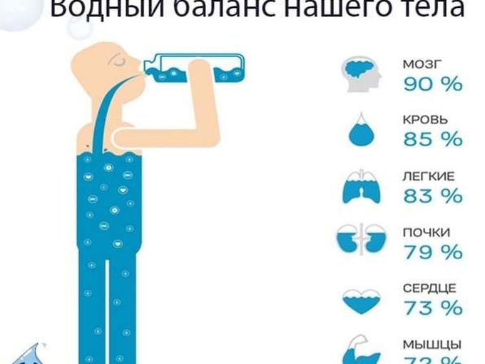 Почему важен водный баланс❓