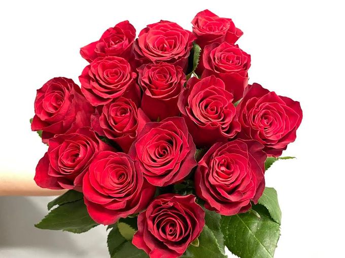 💥 Роза RED FRANCE 60 см от 130₽
