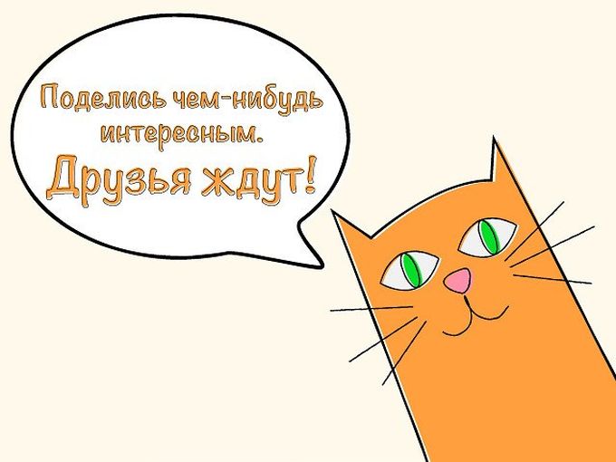 Рекомендуй нас друзьям и получай бонус💥