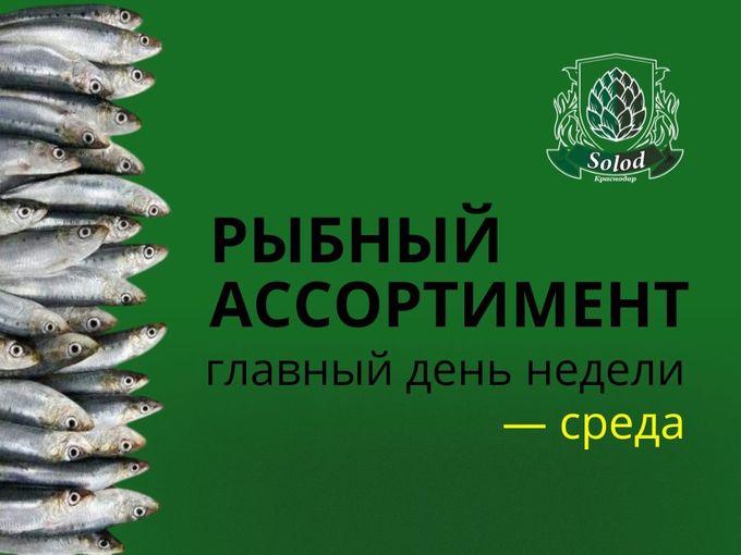 🧾🐟 Рыбный ассортимент Солод