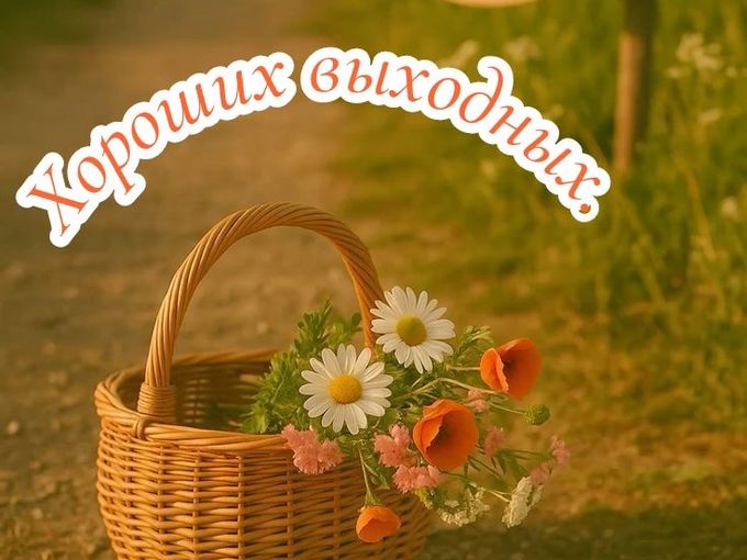 ВСЕМ ХОРОШИХ ВЫХОДНЫХ ☀️