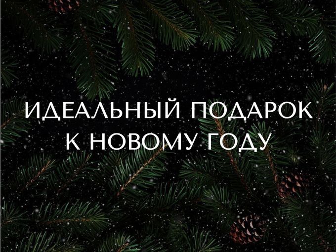 ИДЕАЛЬНЫЙ ПОДАРОК НА НОВЫЙ ГОД🎄