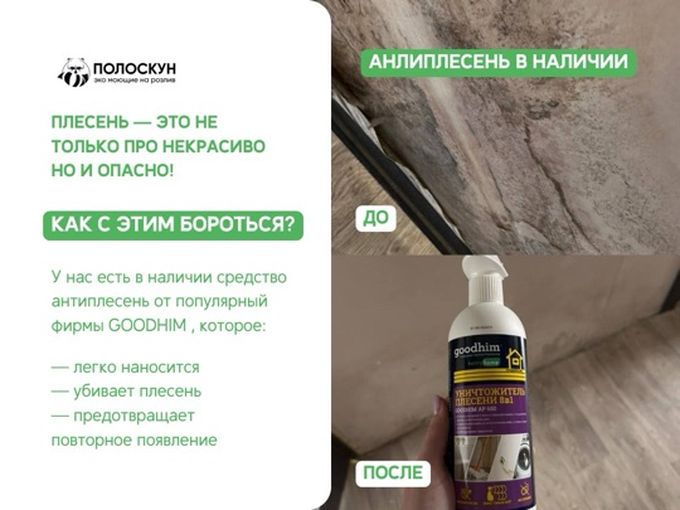 🦠ИЗБАВЬТЕСЬ ОТ ПЛЕСЕНИ!