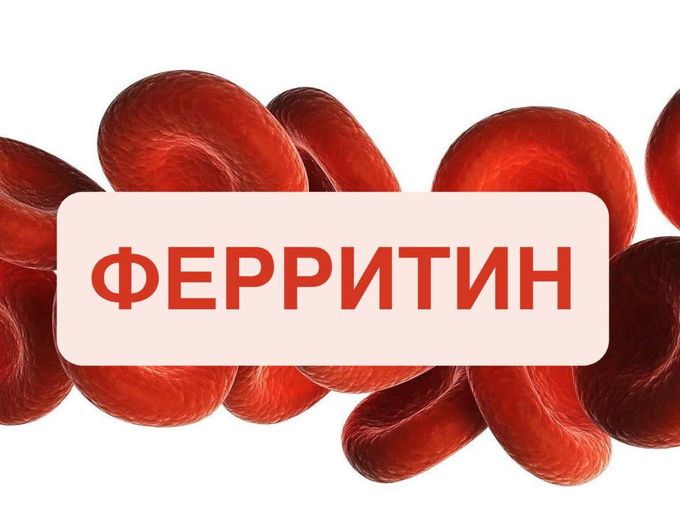 ТАЙНЫ ФЕРРИТИНА