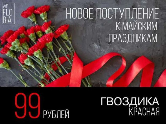 Красная гвоздика за 99 р/шт