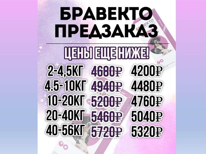 Опять весна, опять клещи...👾