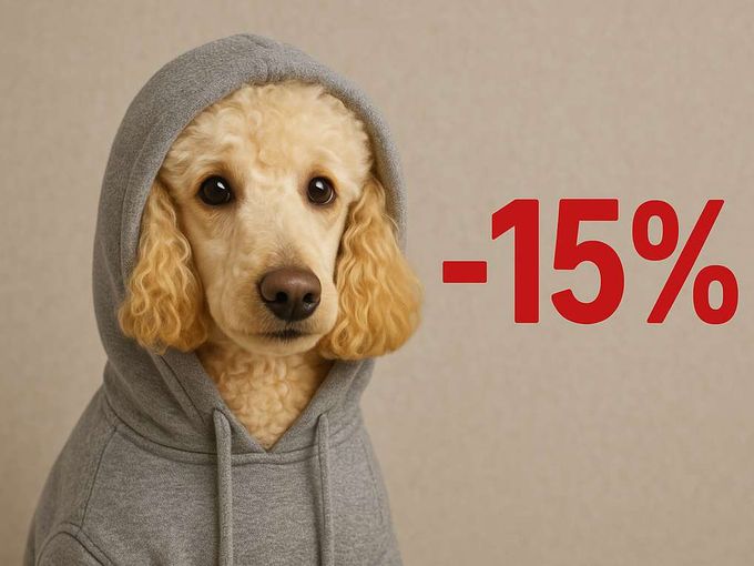 Прогноз погоды с «Дай Лапу»🐾