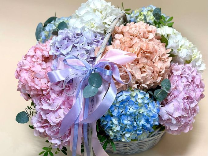 💙🍃Супер АКЦИЯ на ГОРТЕНЗИИ💙🍃