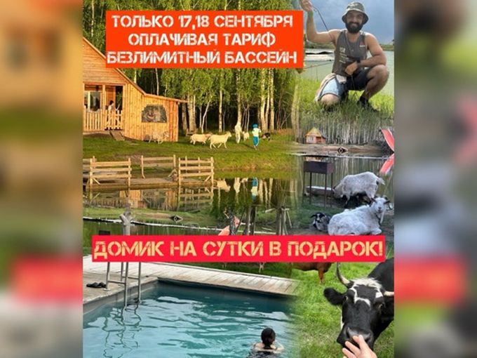 Домик на сутки в подарок