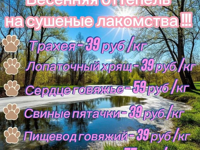 Весенняя оттепель на сушеные лакомства !