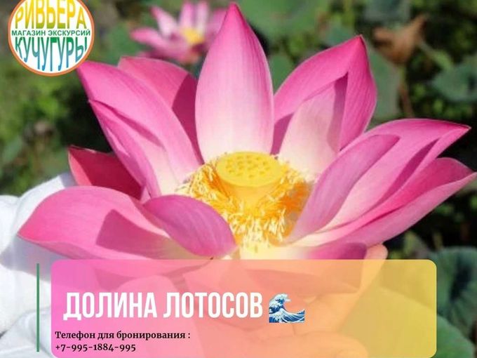 Долина Лотосов - факты!